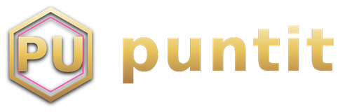 puntit logo
